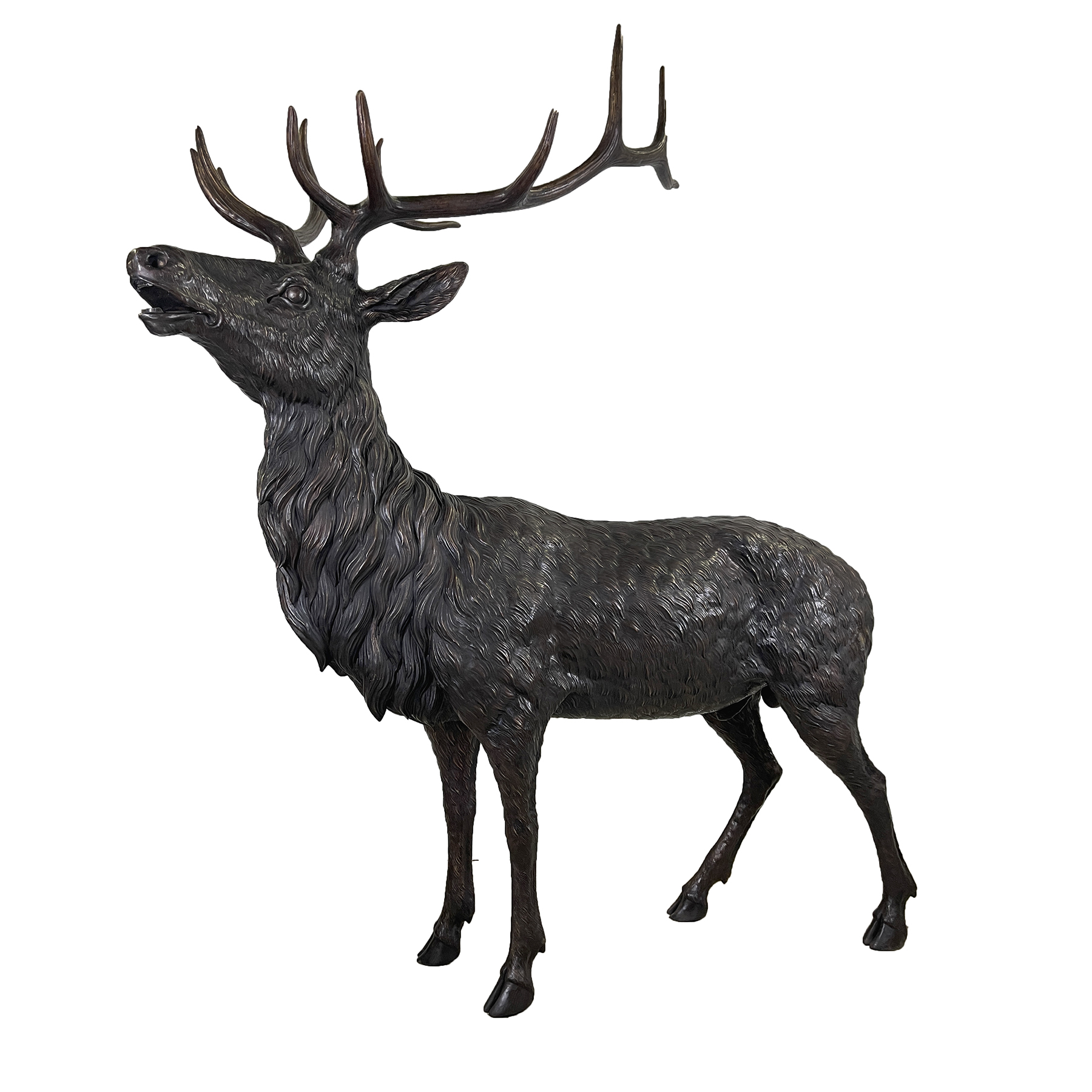 SRB25456 Bronze Majestic Elk Sculpture by Metropolitan Galleries Inc