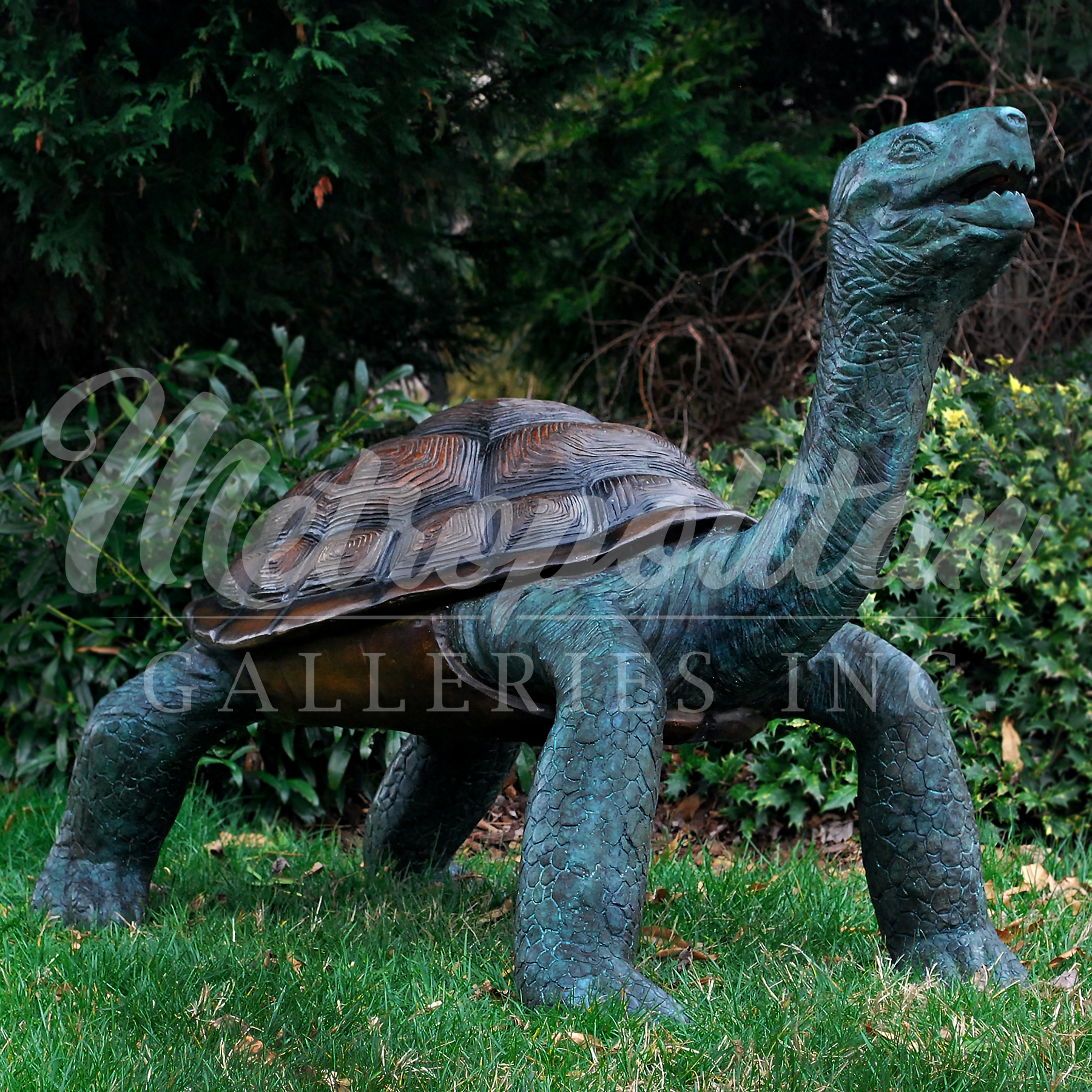 SRB082054 Bronze Galapagos Turtle Fountain Sculpture by Metropolitan Galleries Inc Brown & Green Patina
