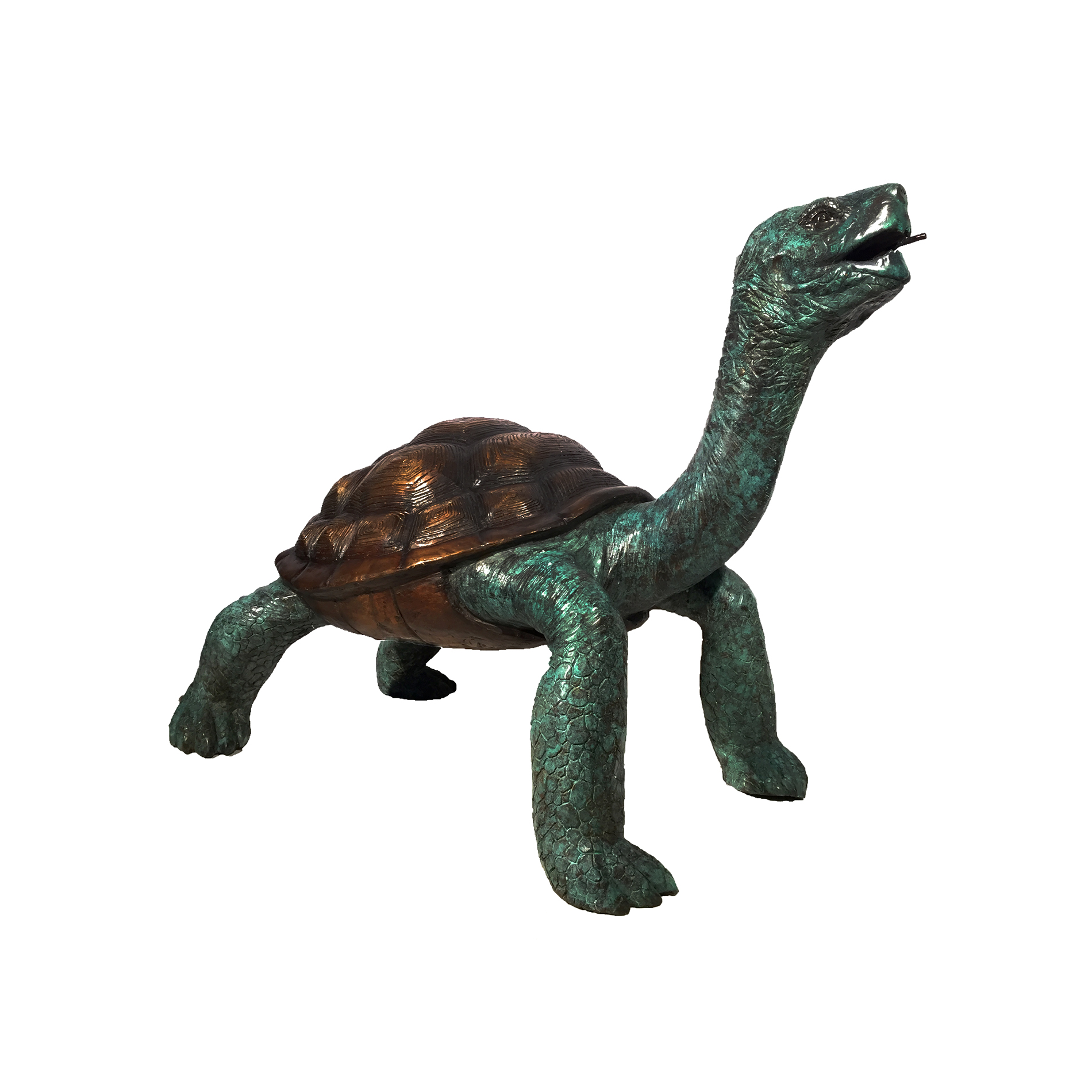 SRB082054 Bronze Galapagos Turtle Fountain Sculpture by Metropolitan Galleries Inc