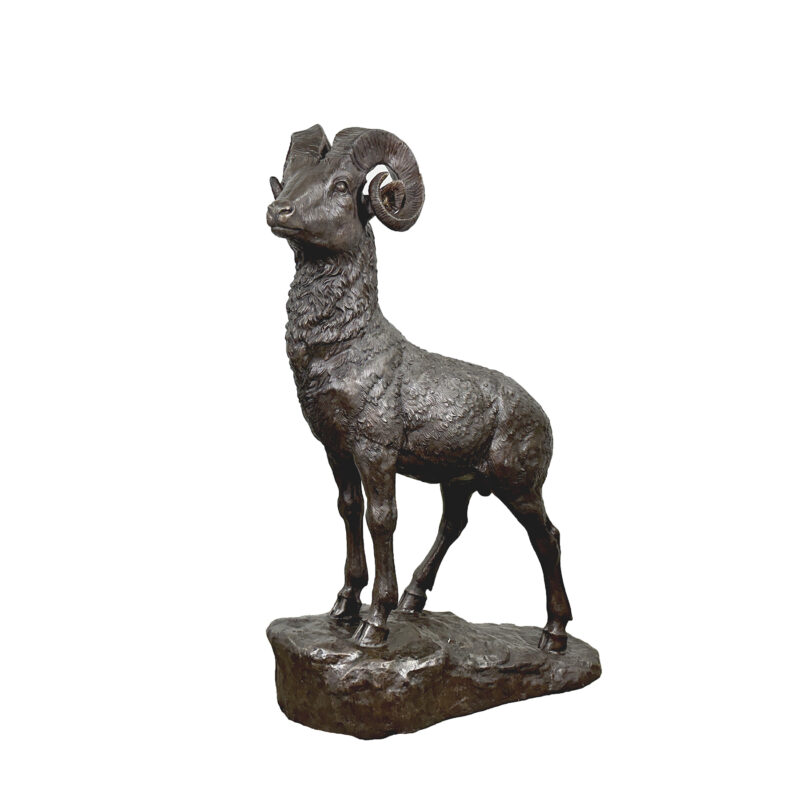 SRB705947 Bronze Bighorn Sheep Sculpture by Metropolitan Galleries Inc