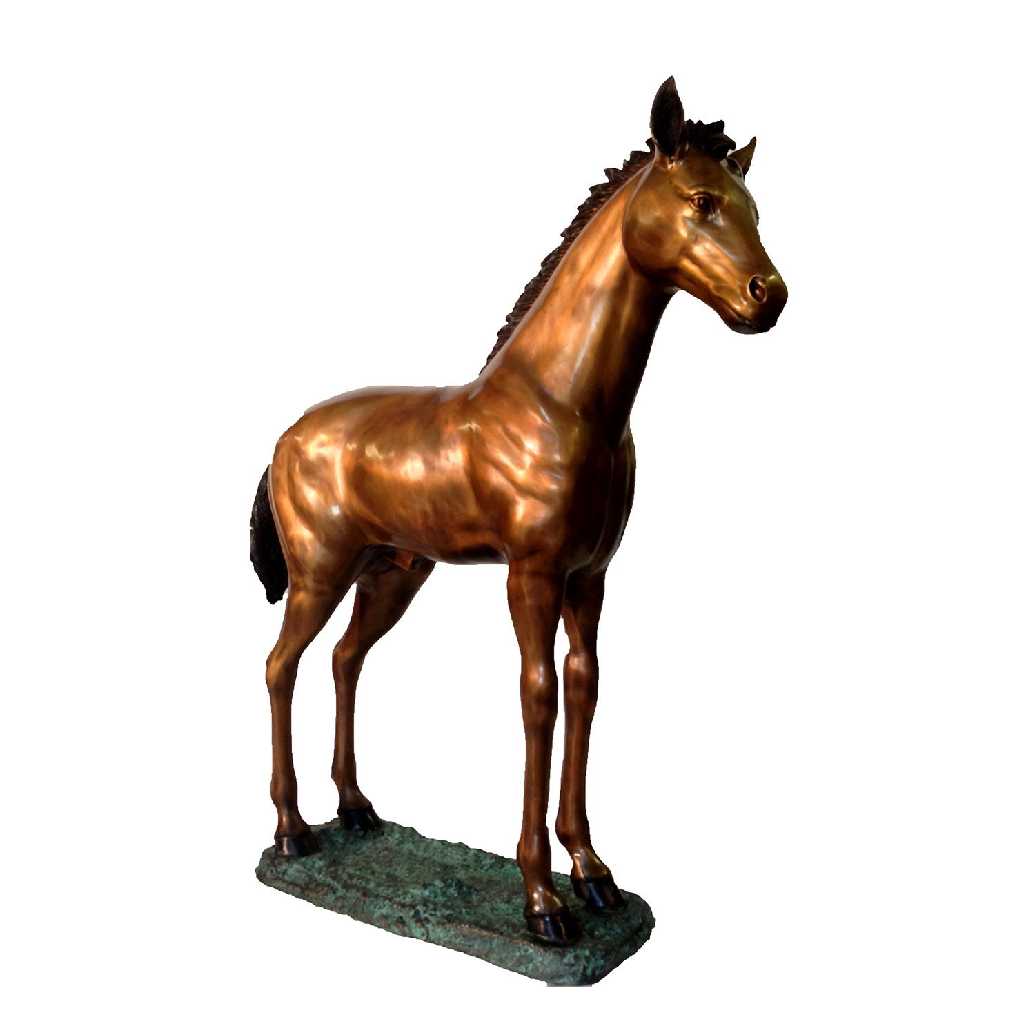 Cast Bronze Standing Pony Statue Metropolitan Galleries High Point NC
