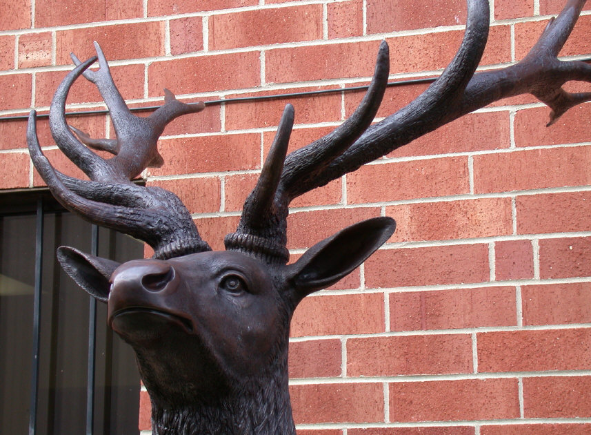 SRB46994 Bronze Large Deer SculptureBronze Large Deer Sculpture Metropolitan Galleries Inc.