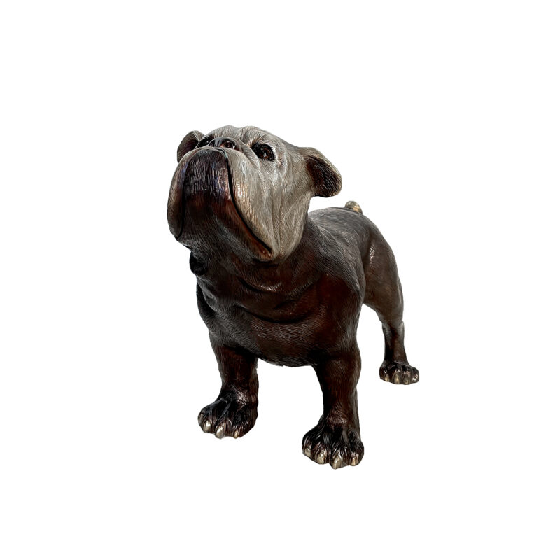 SRB081167 Bronze Medium Bulldog Sculpture by Metropolitan Galleries Inc