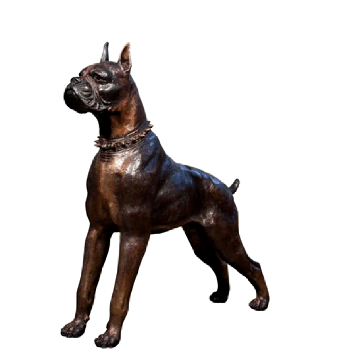 SRB043909 Bronze Boxer Dog Sculpture Metropolitan Galleries Inc.