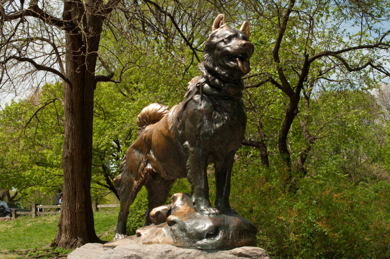 SRB47067 Bronze Balto Dog Sculpture Metropolitan Galleries Inc.