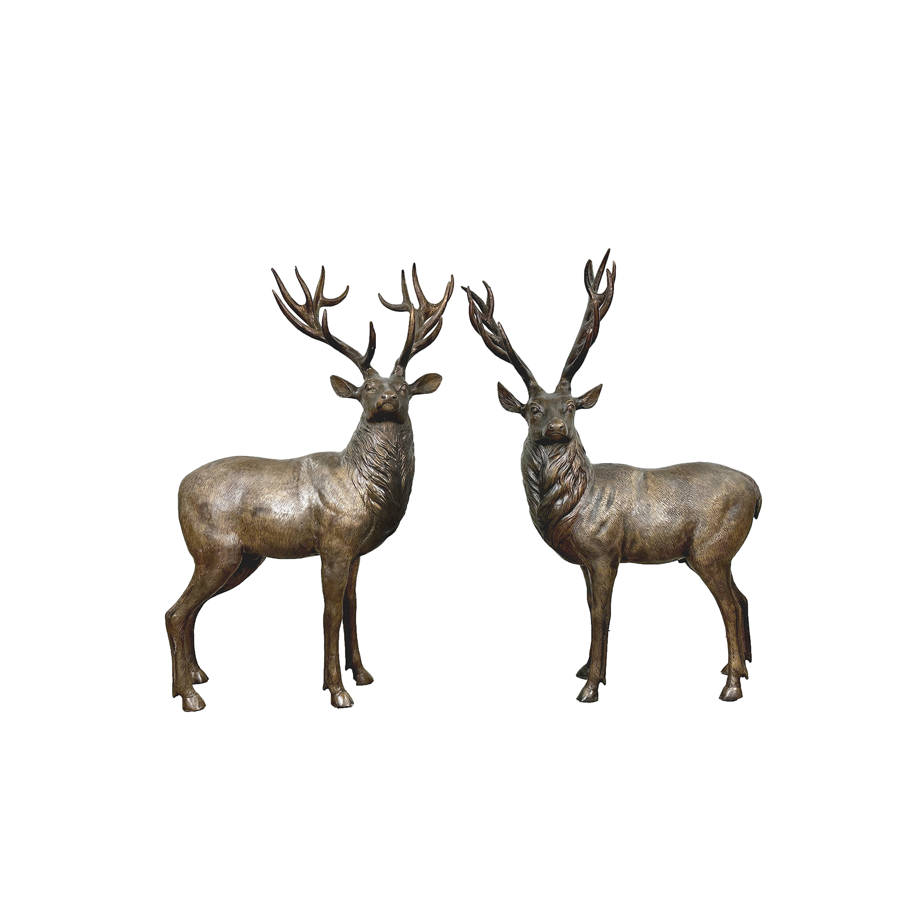 SRB706856 Bronze Medium Size Elk Sculpture Pair by Metropolitan Galleries Inc