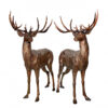 Bronze Deer Sculpture Pair (Maple)