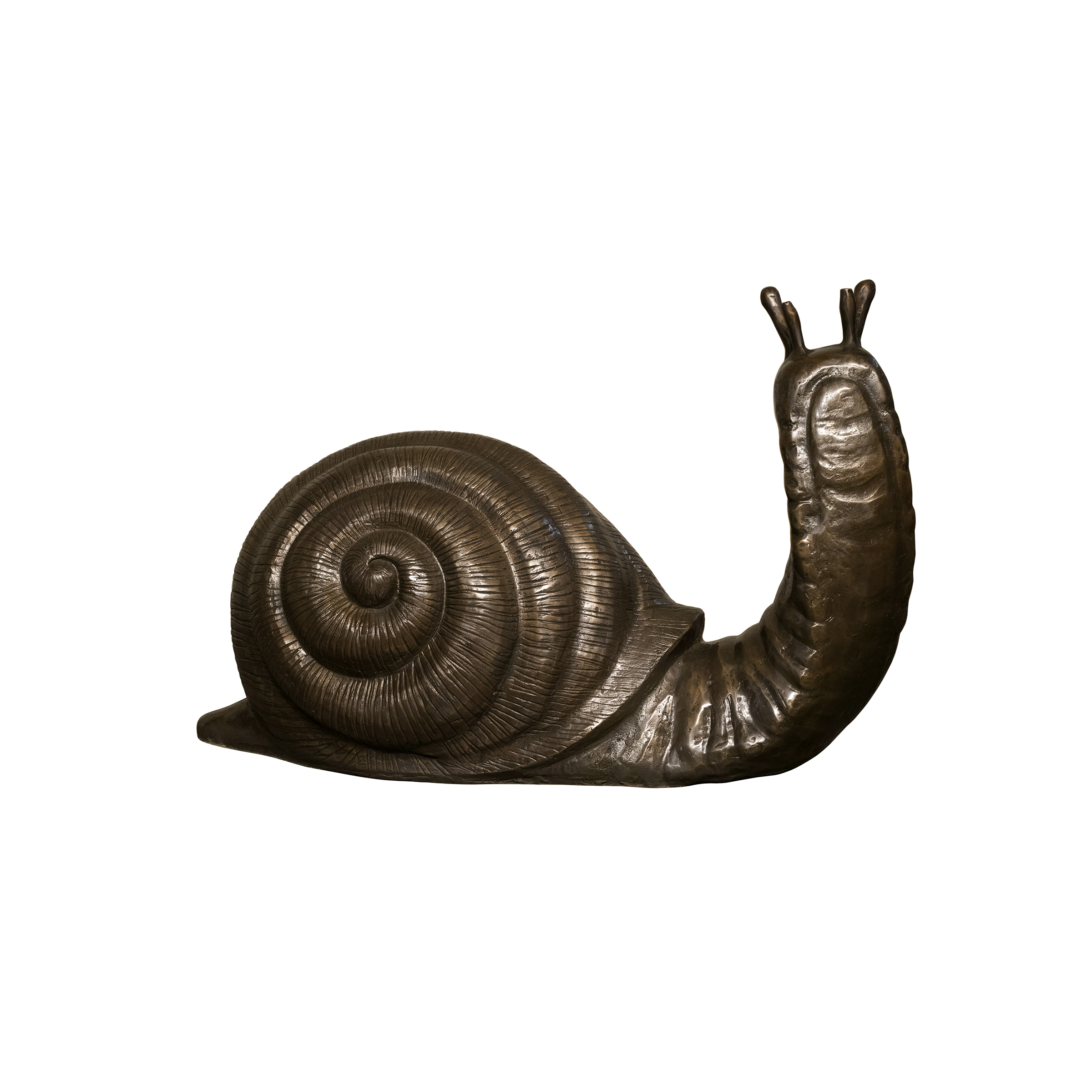 SRB058764 Bronze Snail Sculpture by Metropolitan Galleries Inc
