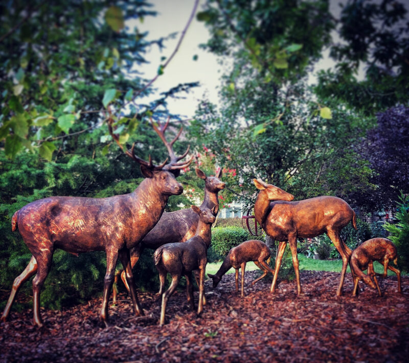 SRB10119-120 Bronze Deer Herd of Six Sculpture Set exclusive by Metropolitan Galleries Inc