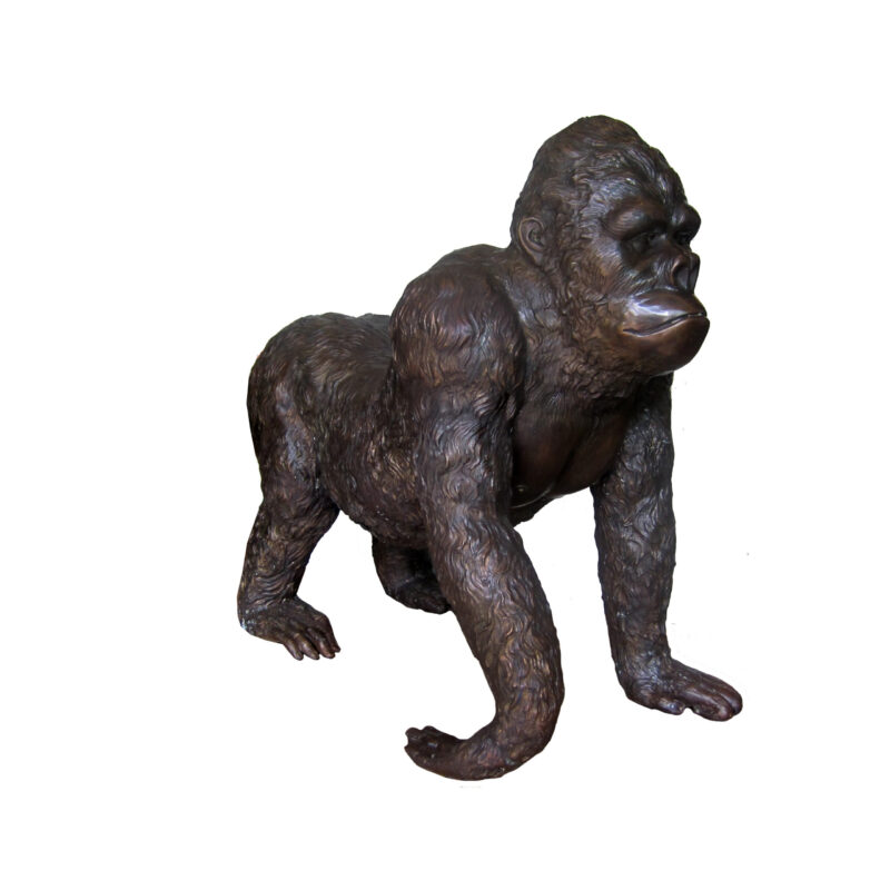 SRB704332 Bronze Young Walking Gorilla Sculpture by Metropolitan Galleries Inc
