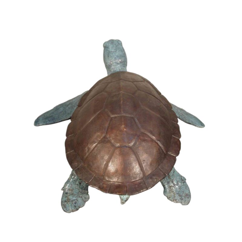 SRB075030 Bronze Sea Turtle Fountain Sculpture Top View by Metropolitan Galleries Inc.