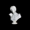 Marble Bust of Roman Male Sculpture