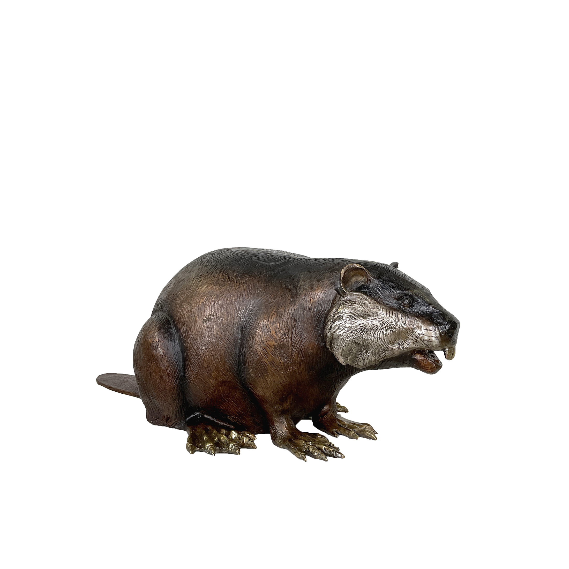 SRB018062 Bronze Beaver Sculpture with Polished Highlights by Metropolitan Galleries Inc