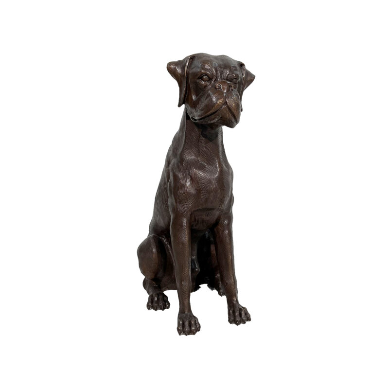 SRB059555-M Bronze Sitting Boxer Sculpture by Metropolitan Galleries Inc