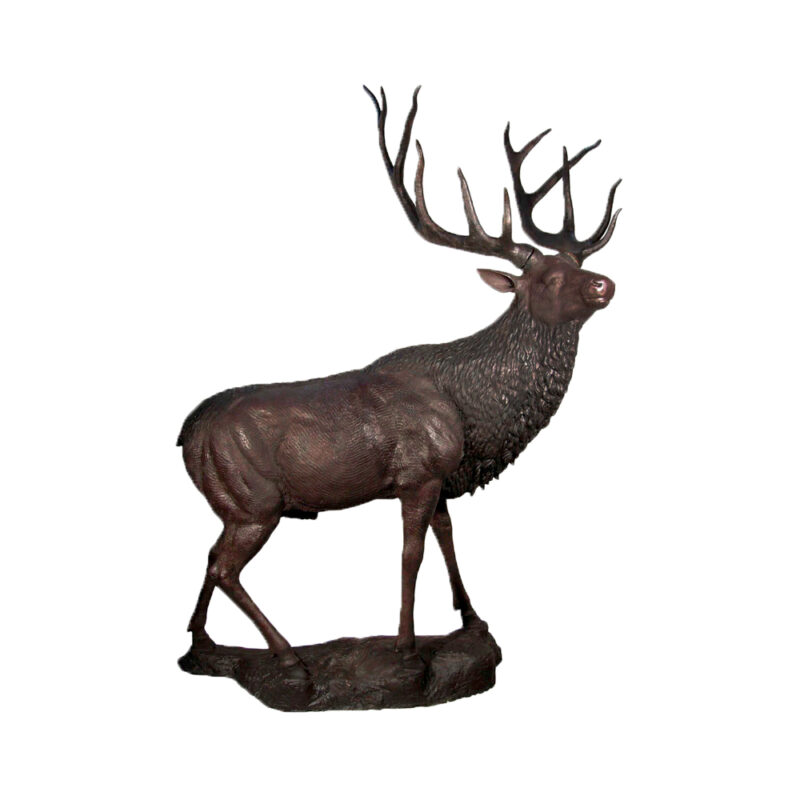 SRB086041 Bronze Standing Elk on Rock Sculpture by Metropolitan Galleries Inc.