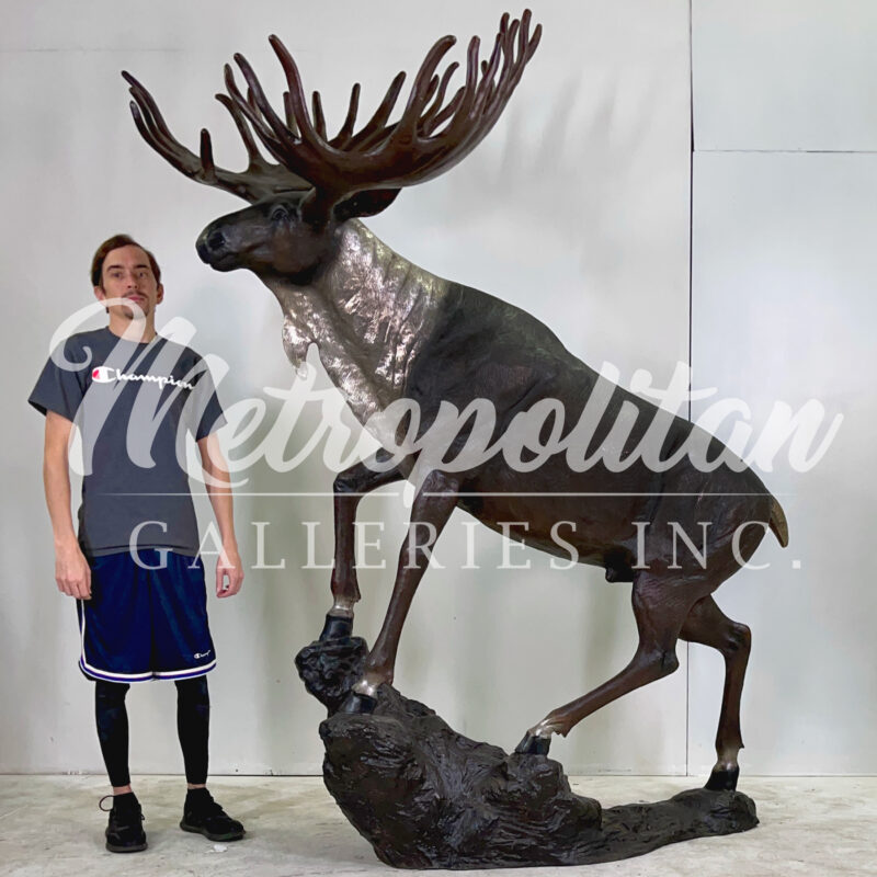 SRB086043 Bronze Large Moose on Rock Sculpture by Metropolitan Galleries Inc SCALE WM