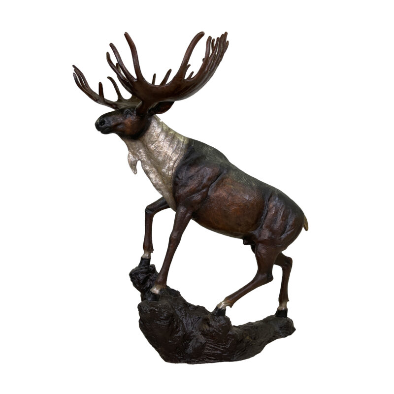 SRB086043 Bronze Large Moose on Rock Sculpture with Silver Highlights by Metropolitan Galleries Inc