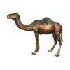 Bronze Standing Camel Sculpture