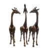 Bronze Giraffe Trio Sculpture Set