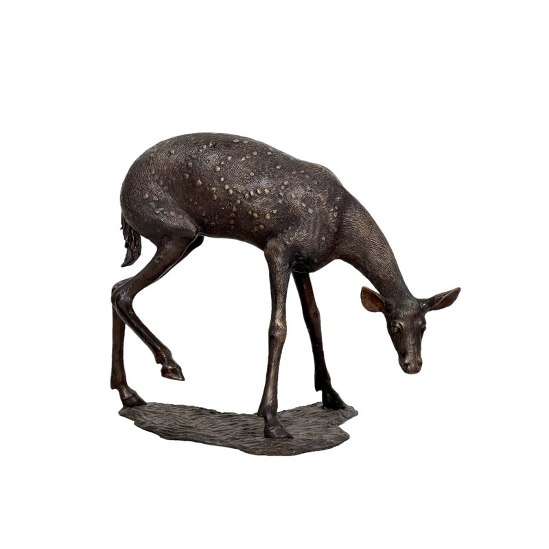 SRB10120-B-DB Bronze Grazing Fawn Sculpture by Metropolitan Galleries Inc