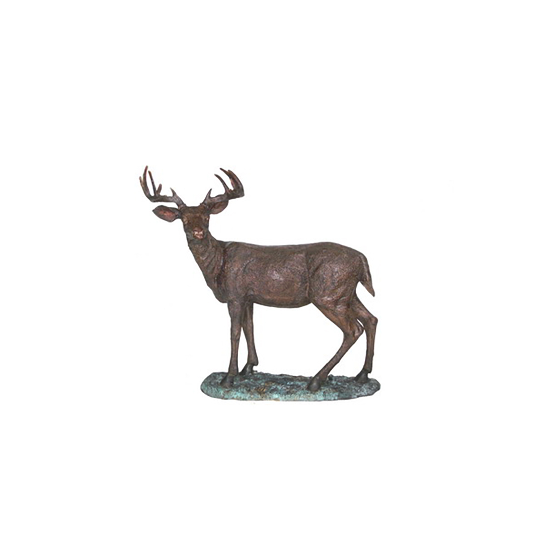 Bronze Young Deer on Base Sculpture