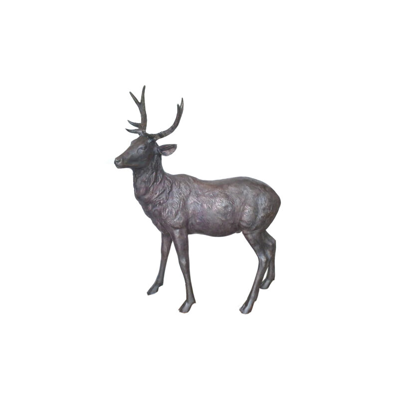 SRB707356-A Bronze Young Buck Sculpture by Metropolitan Galleries Inc