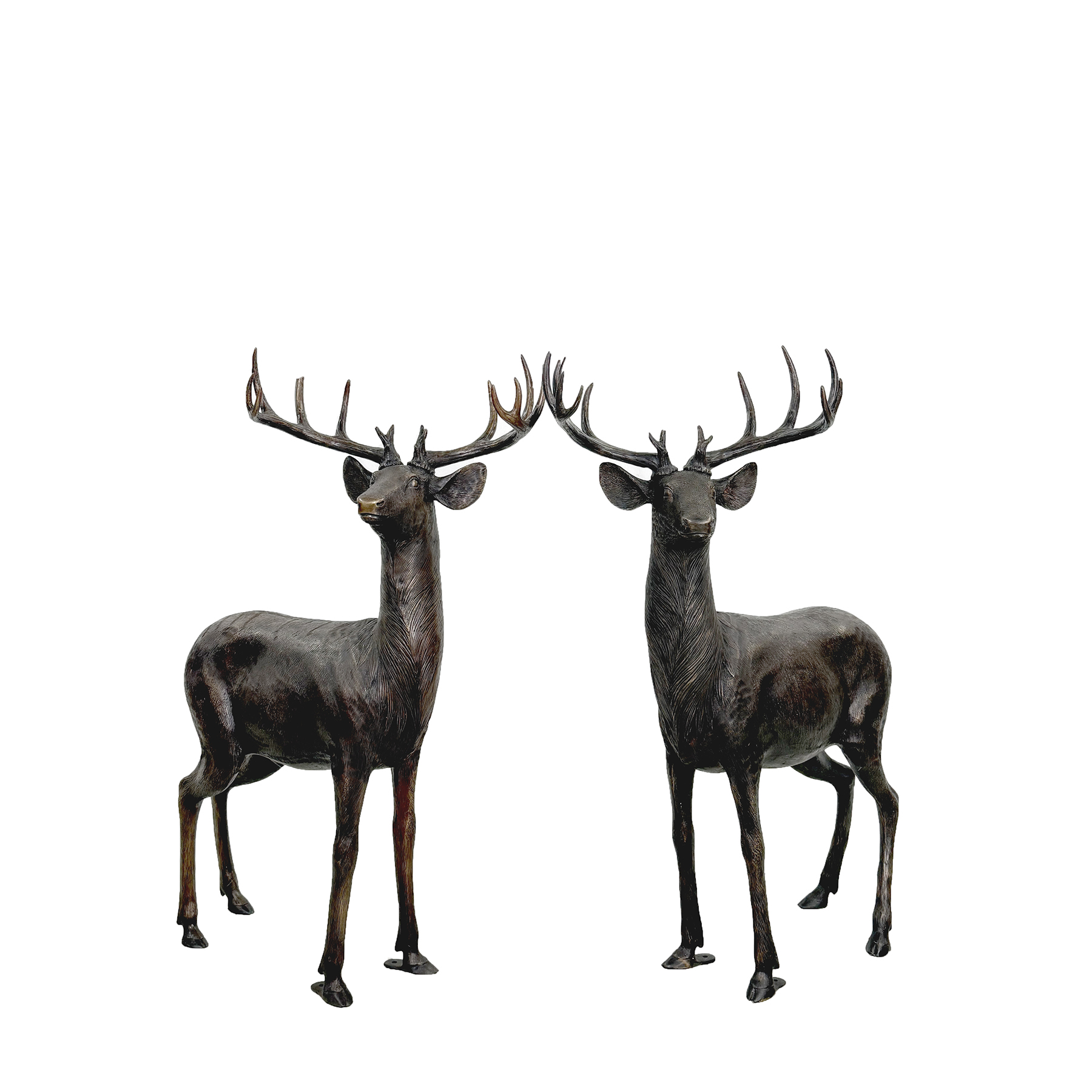 Bronze Medium Stag Sculpture Pair