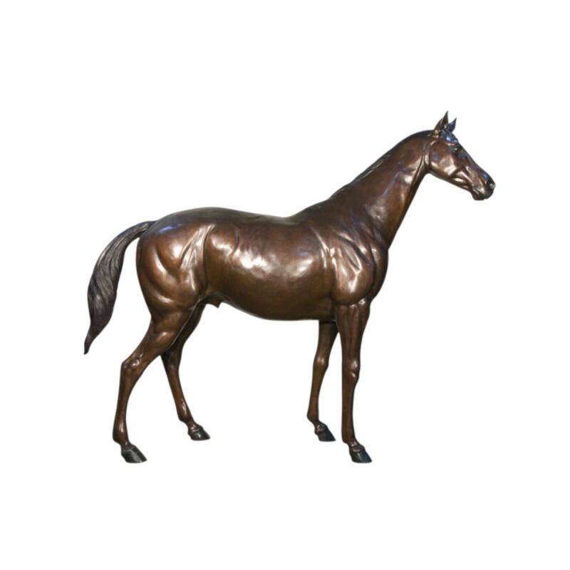 SRB057794 Bronze Standing Horse Sculpture by Metropolitan Galleries Inc.