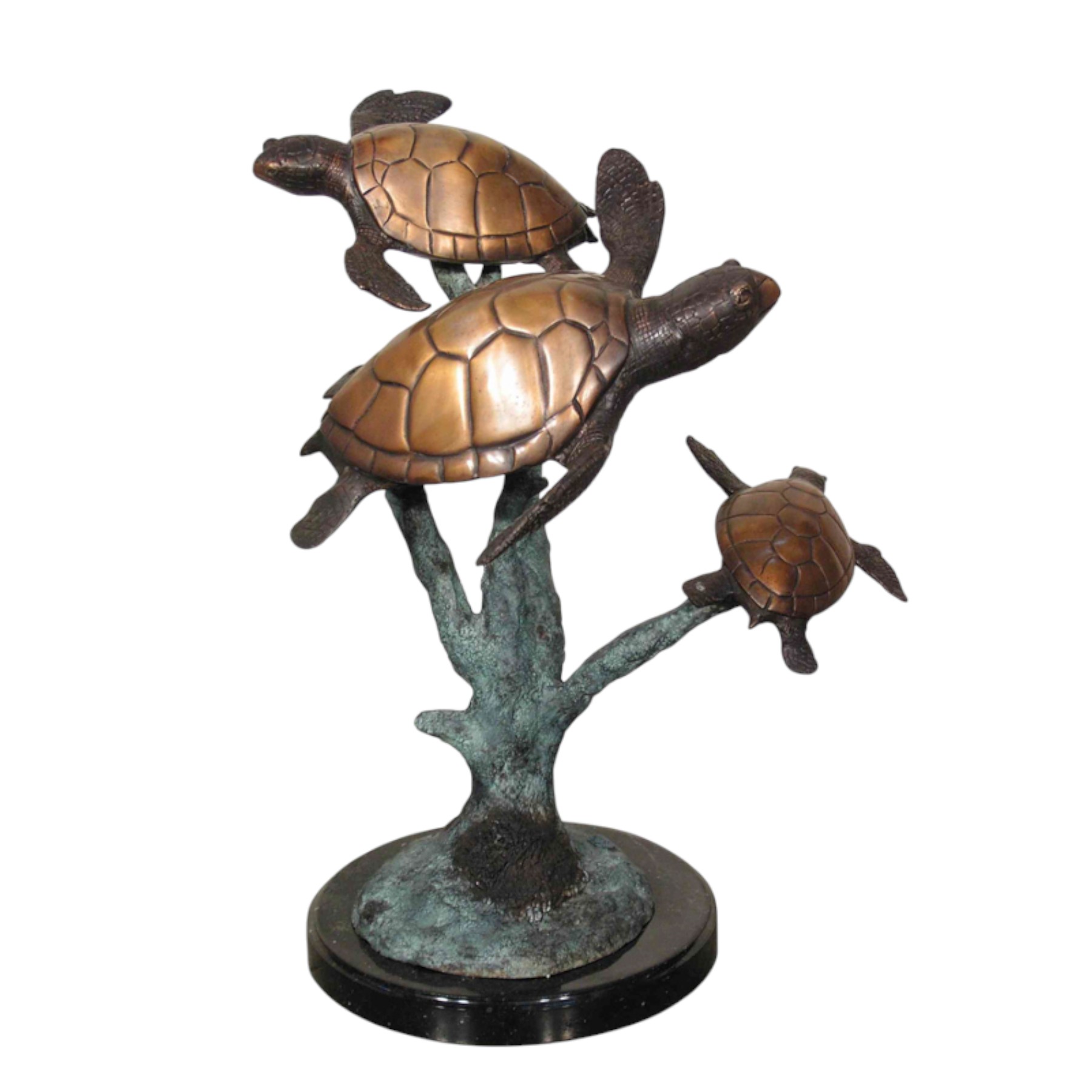 SRB058472 Bronze Three Turtles in Sea Grass Sculpture by Metropolitan Galleries Inc.