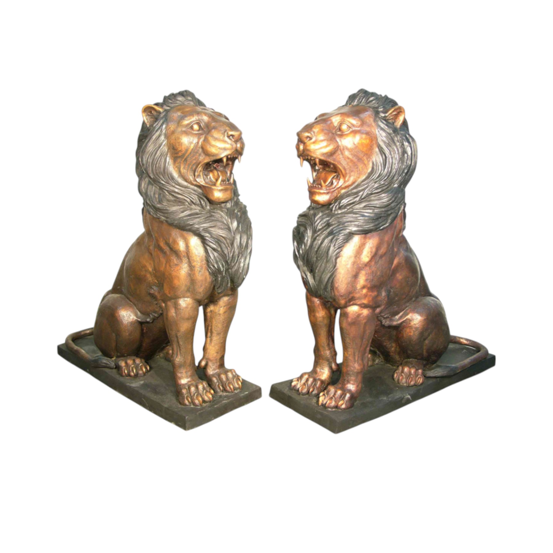 Bronze Sitting Lions Mouth Open Sculpture Set